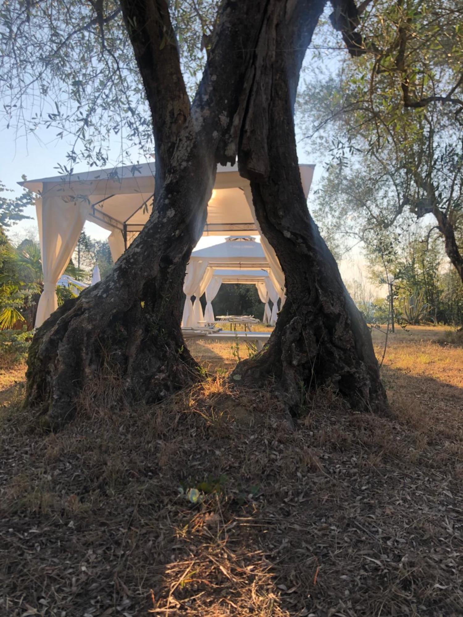 فيلا La Casa D'Ambra Torre A Castello المظهر الخارجي الصورة